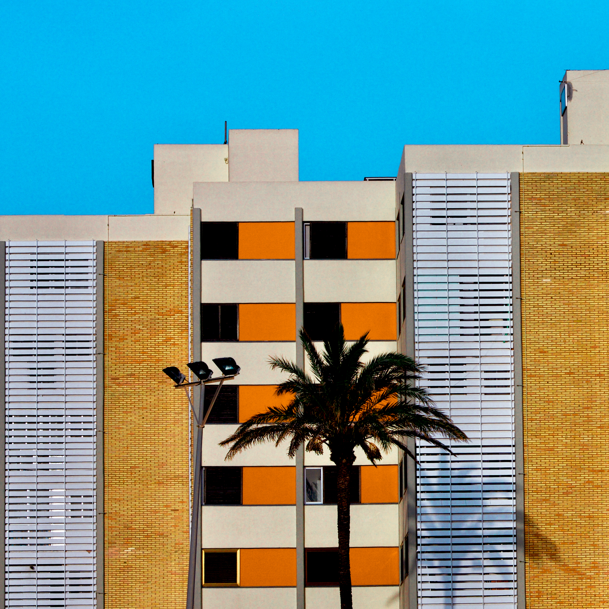 Naranja Mediterránea